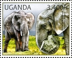 Colnect-1716-928-African-Elephant-Loxodonta-africana.jpg