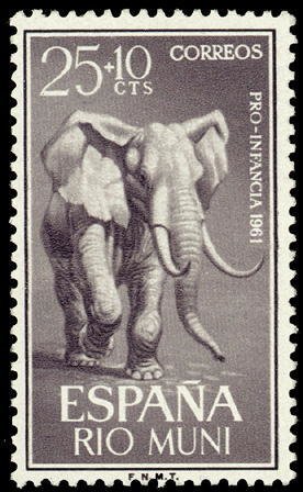 Colnect-303-783-African-Elephant-Loxodonta-africana.jpg