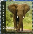 Colnect-3056-847-African-Elephant-Loxodonta-africana.jpg