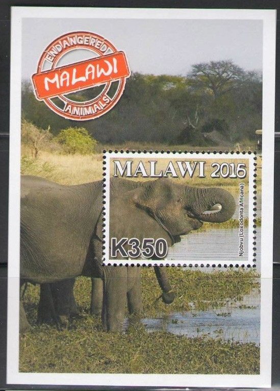 Colnect-4513-715-African-Elephant-Loxodonta-africana.jpg