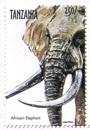 Colnect-540-081-African-Elephant-Loxodonta-africana.jpg