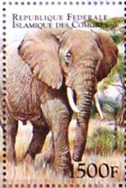 Colnect-553-615-African-Elephant-Loxodonta-africana.jpg