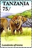 Colnect-5995-760-African-Elephant-Loxodonta-africana.jpg
