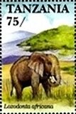 Colnect-5995-766-African-Elephant-Loxodonta-africana.jpg