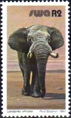 Colnect-783-701-African-Elephant-Loxodonta-africana.jpg