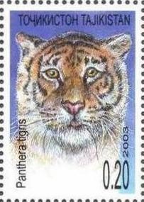Colnect-1103-135-Tiger-Panthera-tigris.jpg