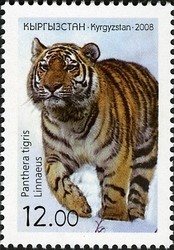 Colnect-1535-174-Tiger-Panthera-tigris.jpg