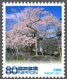 Colnect-1547-283-Blooming-Cherry-Trees-Ishiwari-zakura.jpg