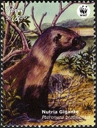 Colnect-1557-510-Giant-Otter-Pteronura-brasiliensis.jpg