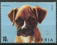 Colnect-1670-865-German-Boxer-Canis-lupus-familiaris.jpg