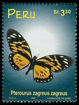 Colnect-1683-365-Swallowtail-Butterfly-Pterourus-zagreus-zagreus.jpg