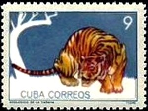 Colnect-1974-006-Tiger-Panthera-tigris.jpg