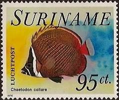 Colnect-2636-009-Redtail-Butterflyfish-Chaetodon-collare.jpg