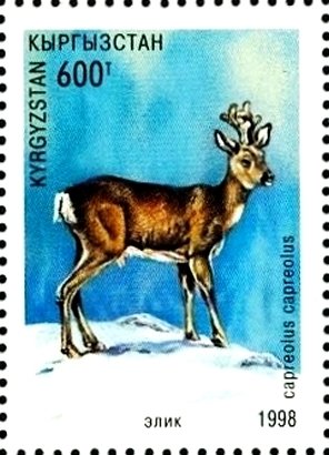 Colnect-2688-189-Roe-Deer-Capreolus-capreolus.jpg