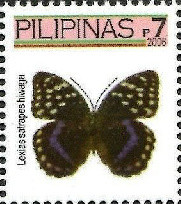 Colnect-2882-254-Archduke-Butterfly-Lexias-satrapes-hiwaga.jpg