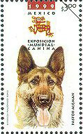 Colnect-312-981-German-Shepherd-Canis-lupus-familiaris.jpg