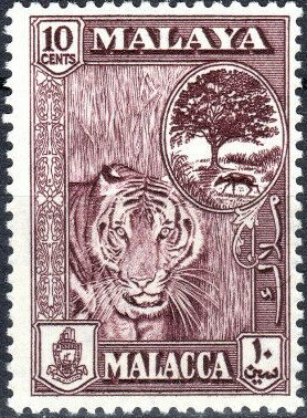 Colnect-5902-848-Tiger-Panthera-tigris.jpg