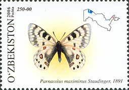 Colnect-831-853-Apollo-Butterfly-Parnassius-maximinus.jpg