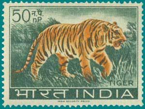 Colnect-874-622-Tiger-Panthera-tigris.jpg