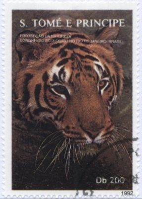 Colnect-938-260-Tiger-Panthera-tigris.jpg