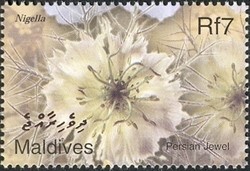 Colnect-961-889-Flowers---Persian-Jewel.jpg