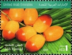 Colnect-1383-620-Dates-of-UAE---Abumaan.jpg