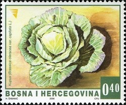 Colnect-900-129-Vegetables---Cabbage.jpg