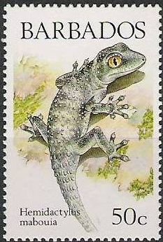 Colnect-1497-063-Tropcal-House-Gecko-Hemidactylus-mabouia.jpg