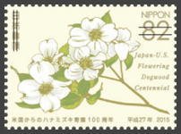 Colnect-3541-737-White-flowering-dogwood.jpg