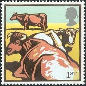 Colnect-449-098-Shorthorn-Cattle-Bos-nbsp-primigenius-taurus.jpg