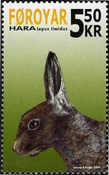 Colnect-518-880-Arctic-Hare-Lepus-timidus---Summer.jpg