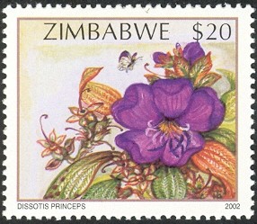 Colnect-552-588-Wildflowers-of-Zimbabwe-Series-2---Musukandarira-Dissotis-p.jpg