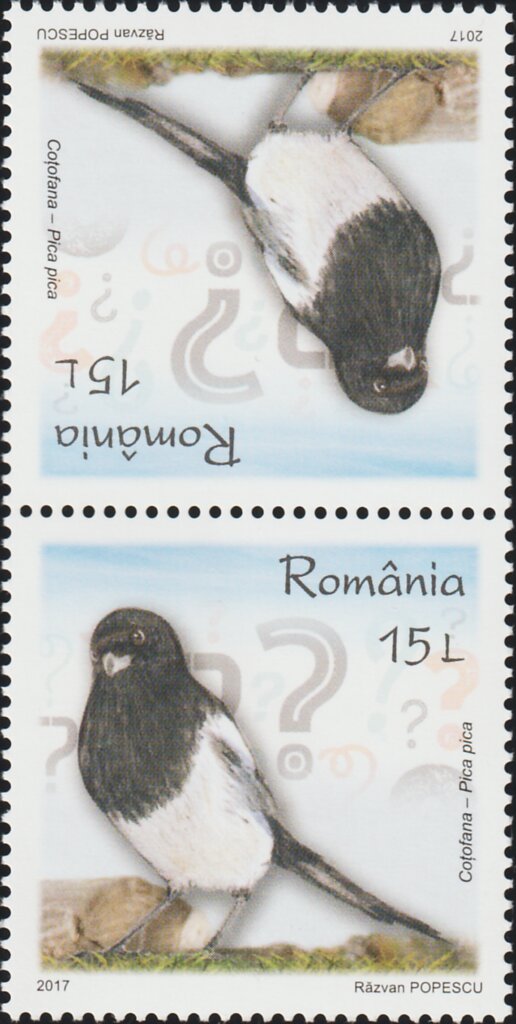 Colnect-5956-157-Common-Magpie-T%C3%AAte-b%C3%AAche-Pair-Type-II.jpg