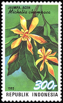Colnect-975-627-Flora-and-Fauna---Michelia-champaca.jpg