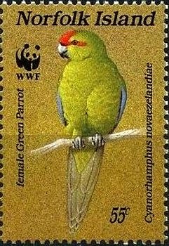 Colnect-2381-574-Female-parakeet.jpg