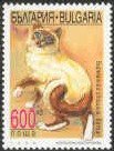 Colnect-460-139-Burmese-Felis-silvestris-catus.jpg