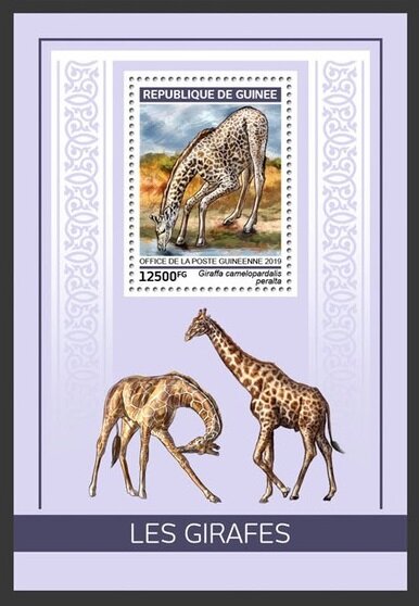 Colnect-5970-269-West-African-Giraffe-Giraffa-camelopardalis-peralta.jpg