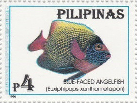 Colnect-3001-714-Blueface-Angelfish-Euxiphipops-xanthometapon.jpg
