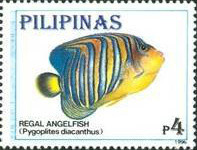 Colnect-3001-776-Regal-Angelfish-Pygoplites-diacanthus.jpg