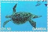 Colnect-4711-723-Pacific-green-sea-turtle.jpg