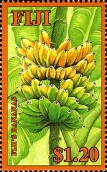 Colnect-934-711-Fiji--s-Bananas.jpg