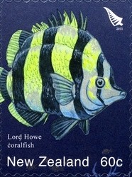 Colnect-1059-804-Lord-Howe-Butterflyfish-Amphichaetodon-howensis.jpg