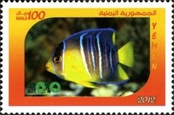 Colnect-1621-980-Butterfly-Fish-Chaetodon-sp.jpg