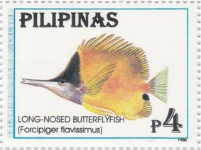 Colnect-3001-720-Longnose-Butterflyfish-Forcipiger-flavissimus.jpg