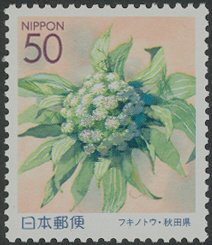 Colnect-3967-331-Butterbur-Flower-Petasites-japonicus.jpg