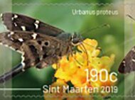 Colnect-6064-877-Butterflies-of-Sint-Maarten.jpg