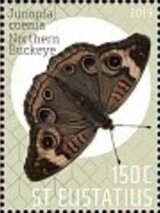 Colnect-6138-494-Butterflies-of-St-Eustatius.jpg