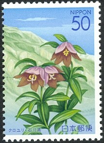 Colnect-890-136-Alpine-flora-of-Mount-Hakusan.jpg