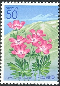 Colnect-890-137-Alpine-flora-of-Mount-Hakusan.jpg