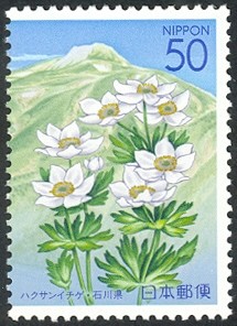 Colnect-890-138-Alpine-flora-of-Mount-Hakusan.jpg